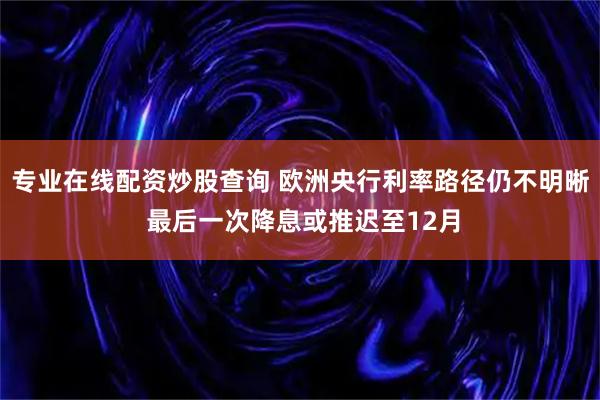 专业在线配资炒股查询 欧洲央行利率路径仍不明晰 最后一次降息或推迟至12月