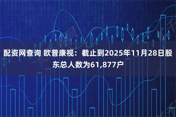 配资网查询 欧普康视：截止到2025年11月28日股东总人数为61,877户