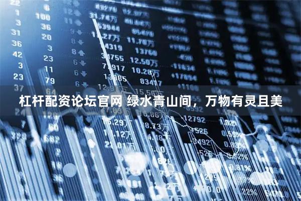 杠杆配资论坛官网 绿水青山间，万物有灵且美